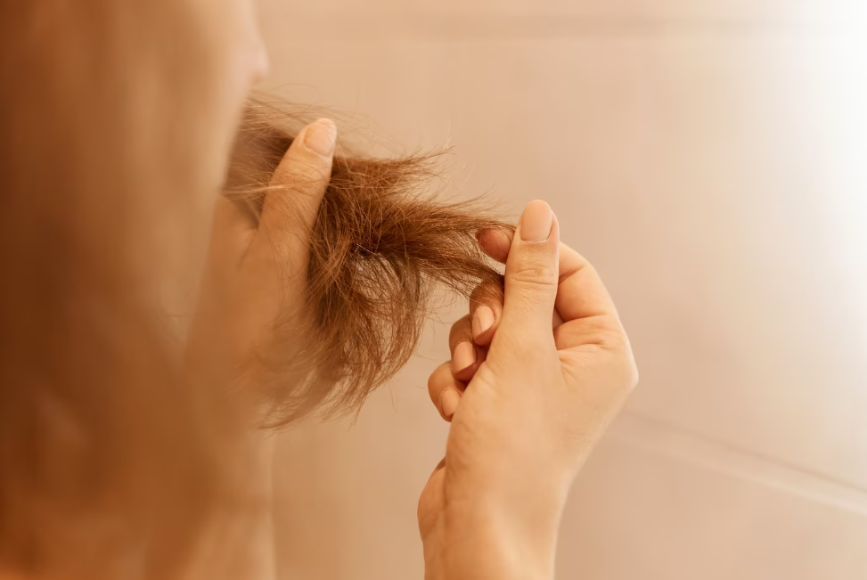 Cheveux cassants : causes et solutions